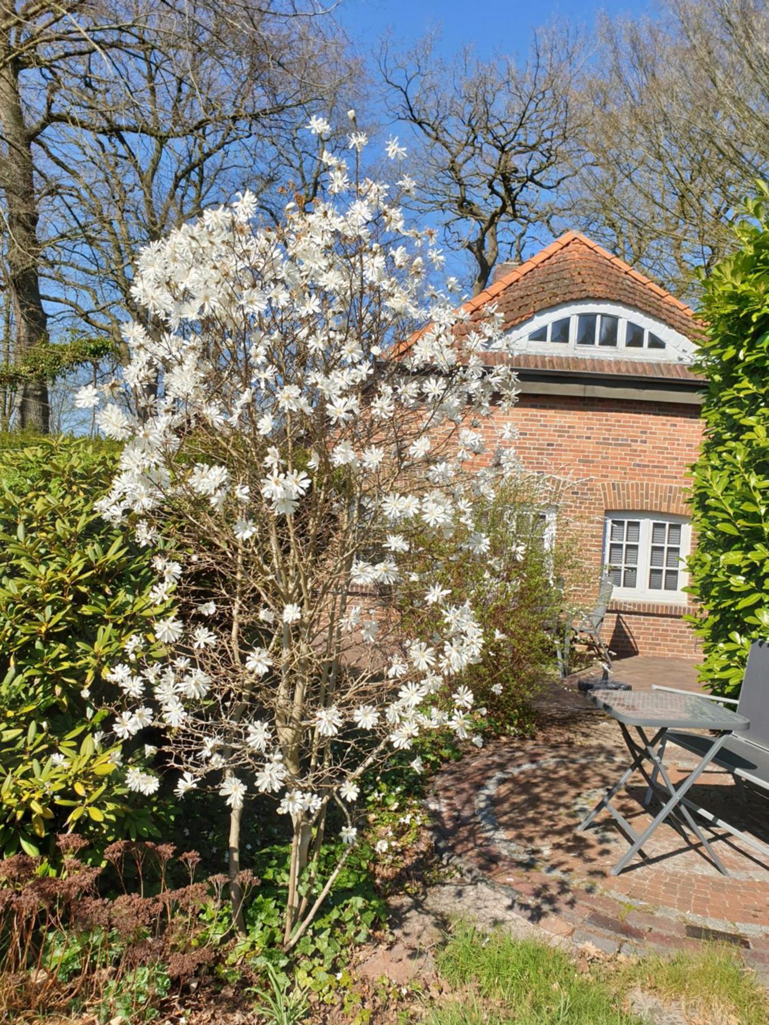 Ferienwohnung Kaminzimmer Westerstede Esterno foto